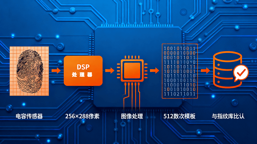 BA-ZW0C指紋識別模塊功能參數(shù)示意圖